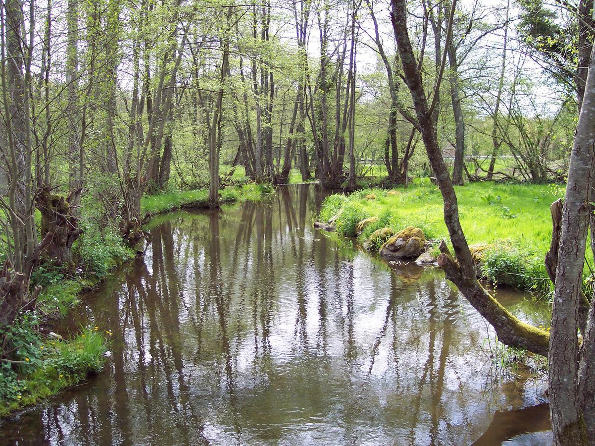 La Vieille Auberge Du Lac Saint-Agnan  Exteriör bild